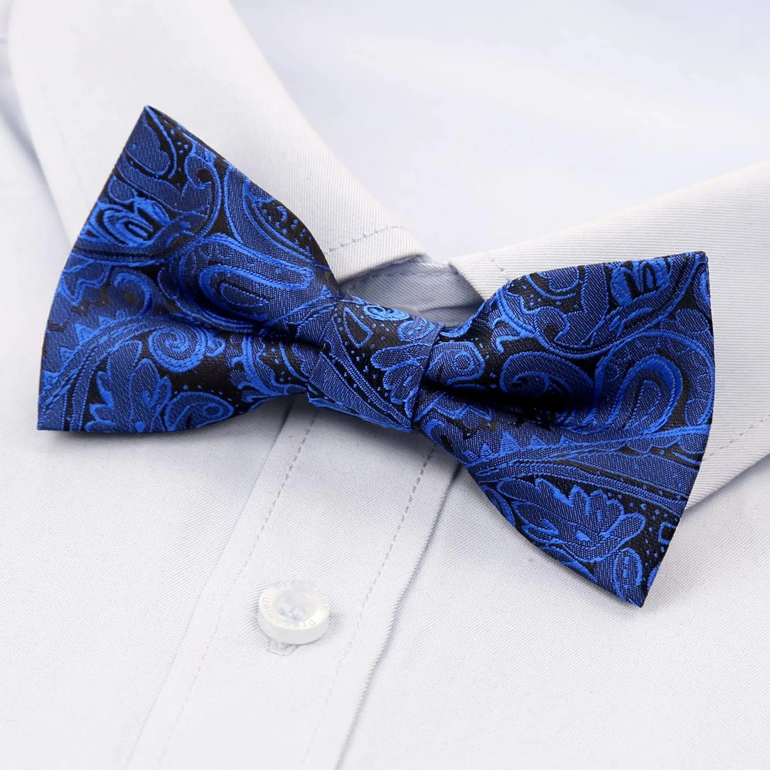 Alizeal Boys Adjustable Fashion Paisley Floral Strapped Pre-tied Kids Bow Tie