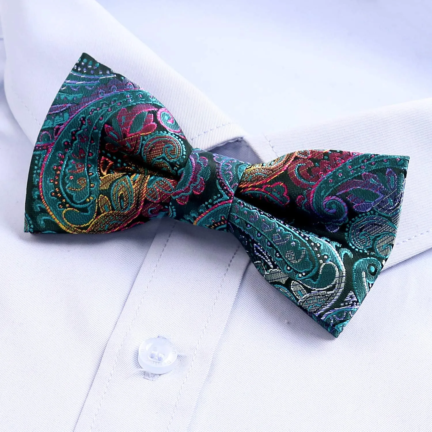 Alizeal Boys Adjustable Fashion Paisley Floral Strapped Pre-tied Kids Bow Tie