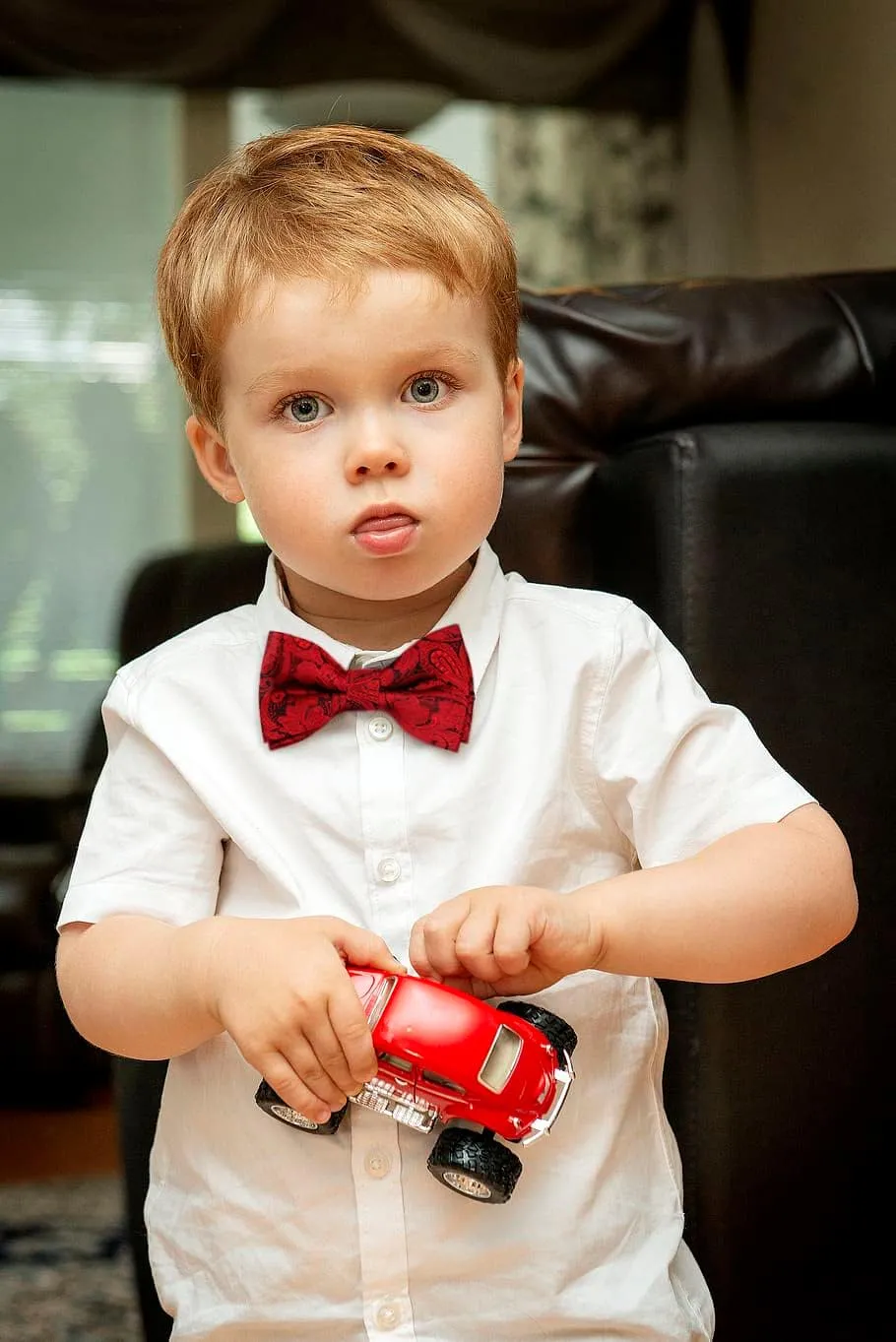 Alizeal Boys Adjustable Fashion Paisley Floral Strapped Pre-tied Kids Bow Tie