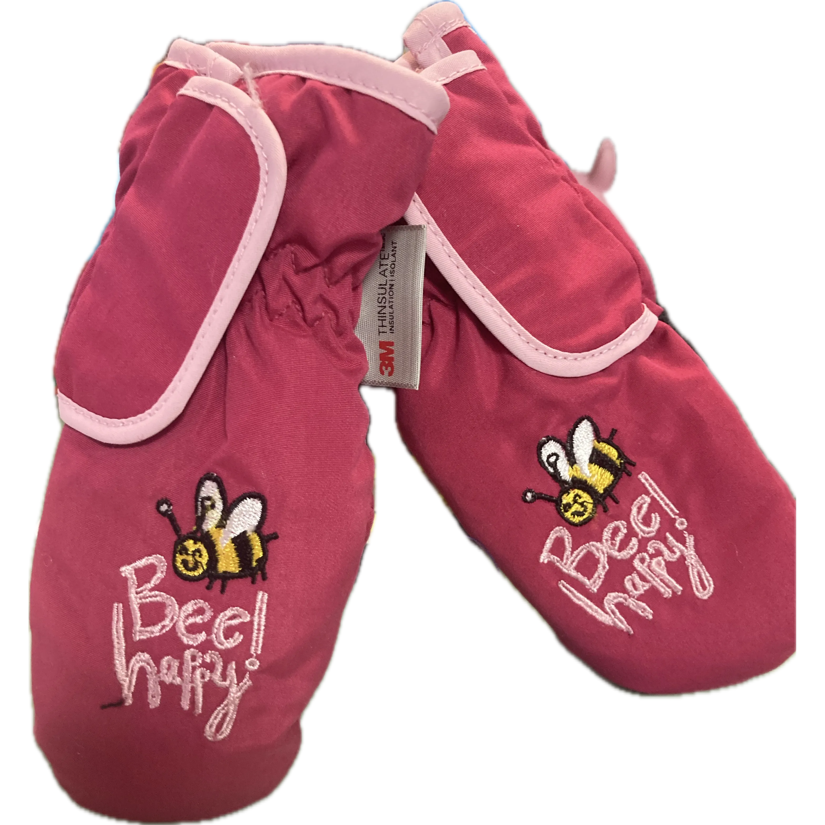 Girls Embroidered Ski Mitten W. Thinsulate Size 2-4T
